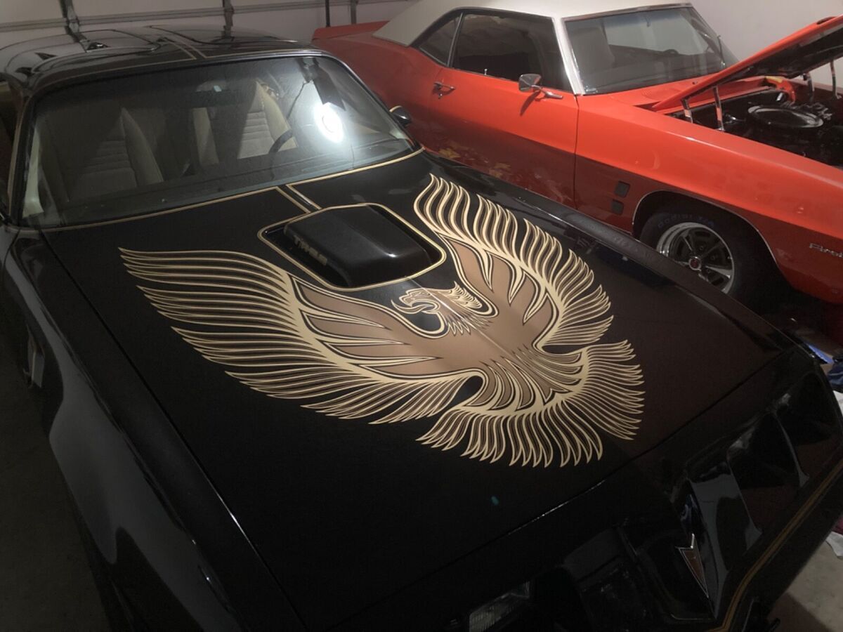 1981 Pontiac Trans Am - photo 10