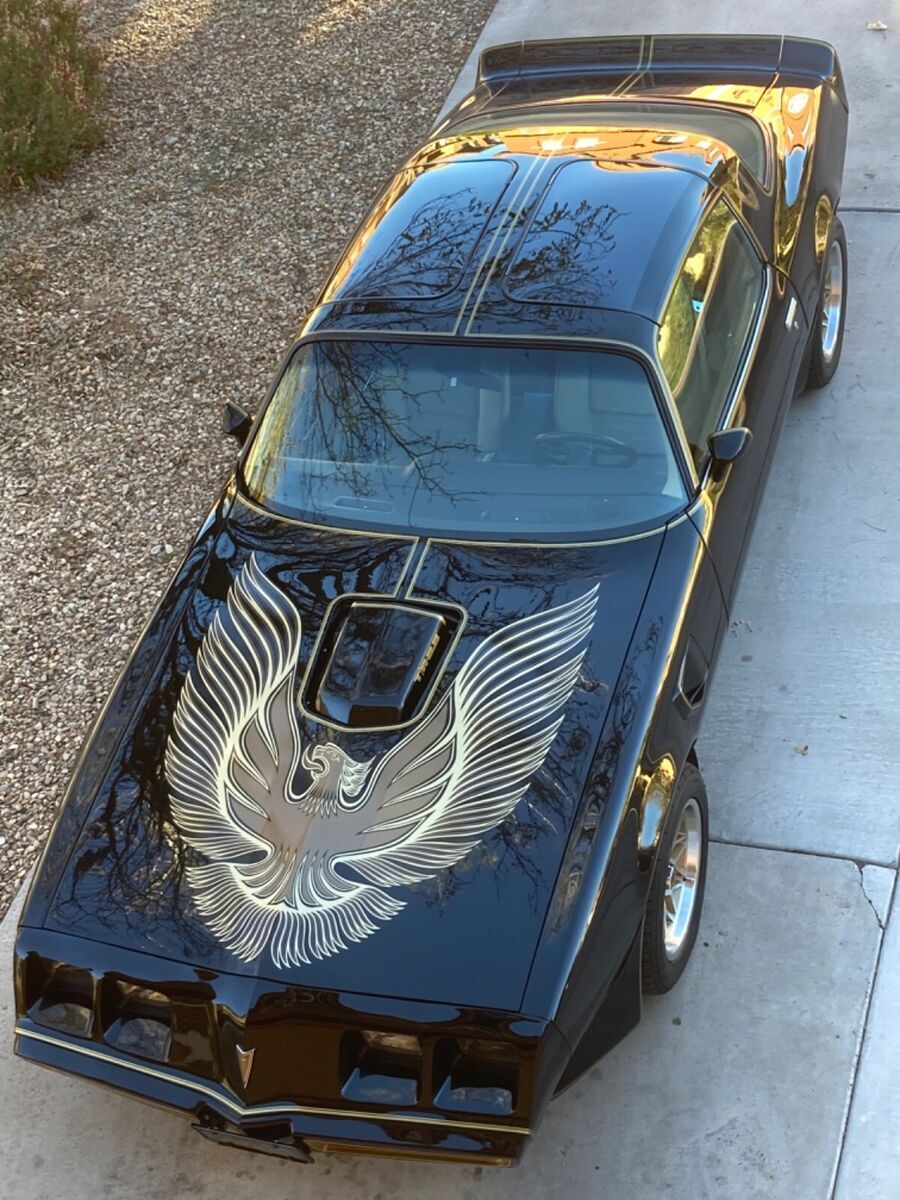 1981 Pontiac Trans Am - photo 11