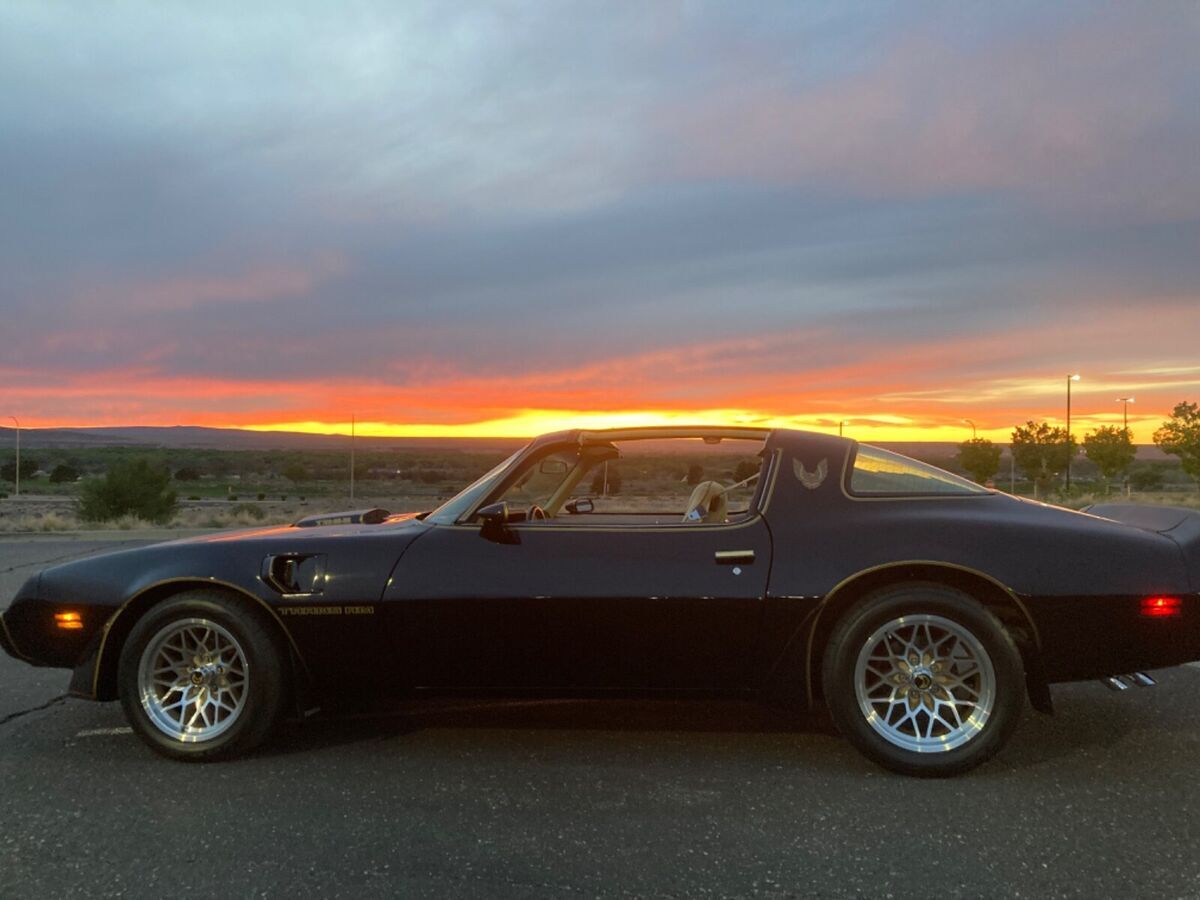 1981 Pontiac Trans Am - photo 3