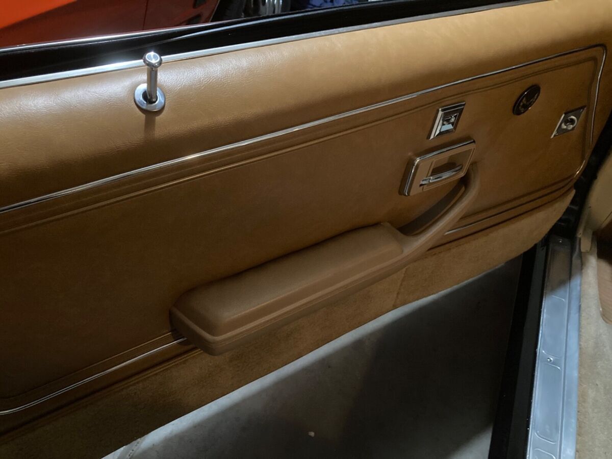 1981 Pontiac Trans Am - photo 4