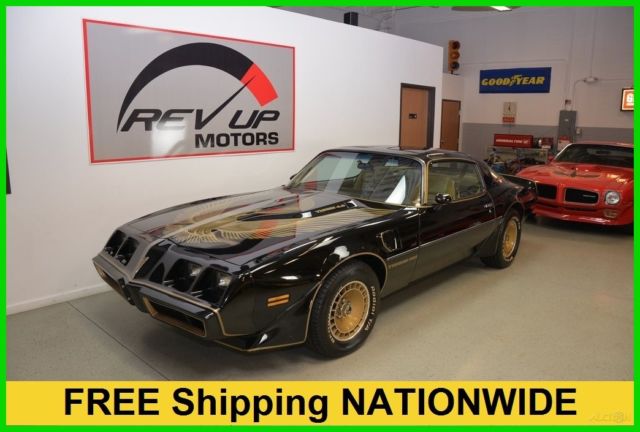 1981 Pontiac Firebird Trans Am Y84 Special Edition FREE Shipping SURVIVOR 1981 Pontiac Trans Am