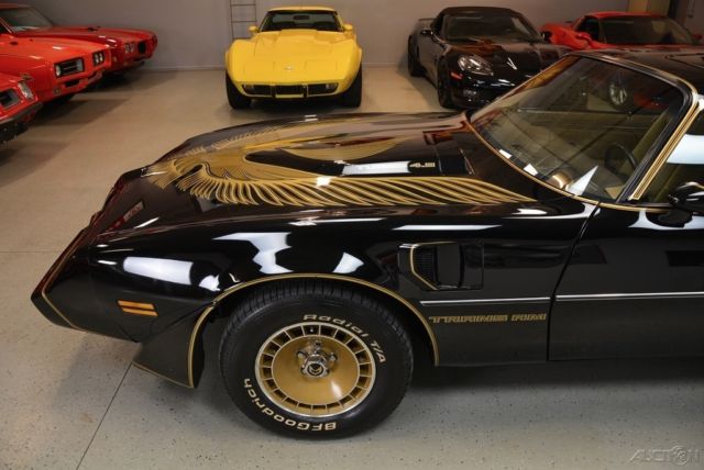 1981 Pontiac Trans Am - photo 10