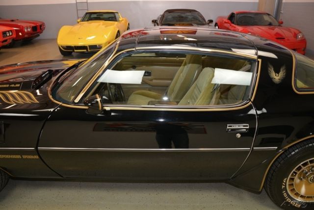 1981 Pontiac Trans Am - photo 11