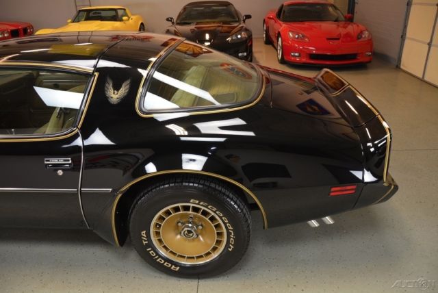 1981 Pontiac Trans Am - photo 12