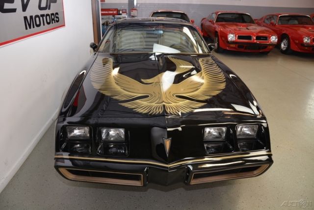 1981 Pontiac Trans Am - photo 8