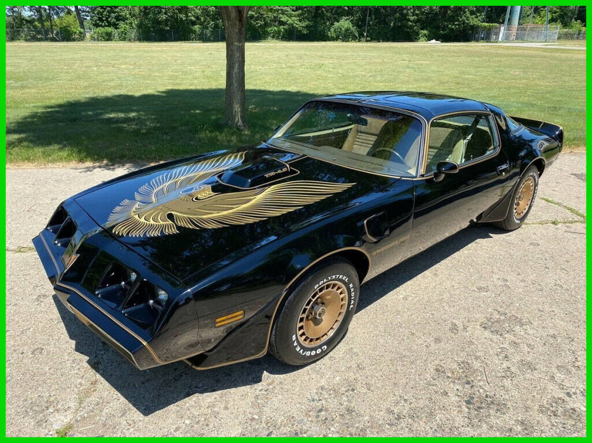 1981 Pontiac Firebird Trans Am Y84 Special Edition Original Survivor Low Miles 1981 Pontiac Trans Am Firebird Trans Am Y84 Special Edition