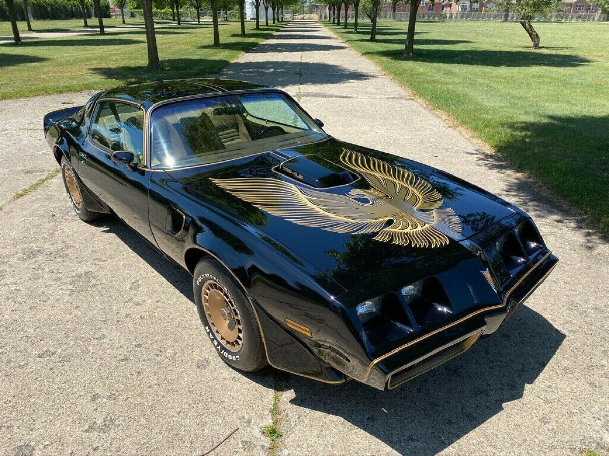 1981 Pontiac Trans Am Firebird Trans Am Y84 Special Edition - photo 10