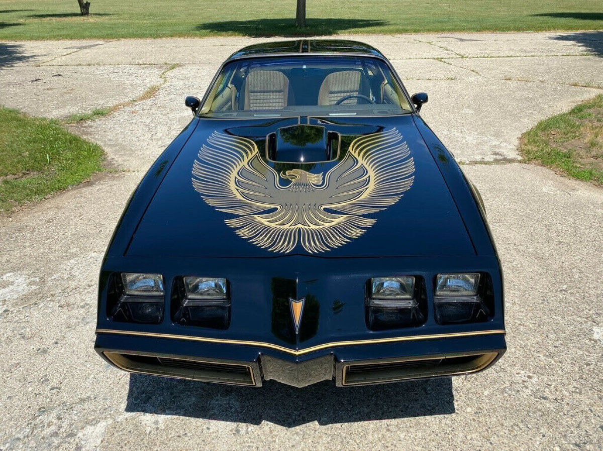 1981 Pontiac Trans Am Firebird Trans Am Y84 Special Edition - photo 12