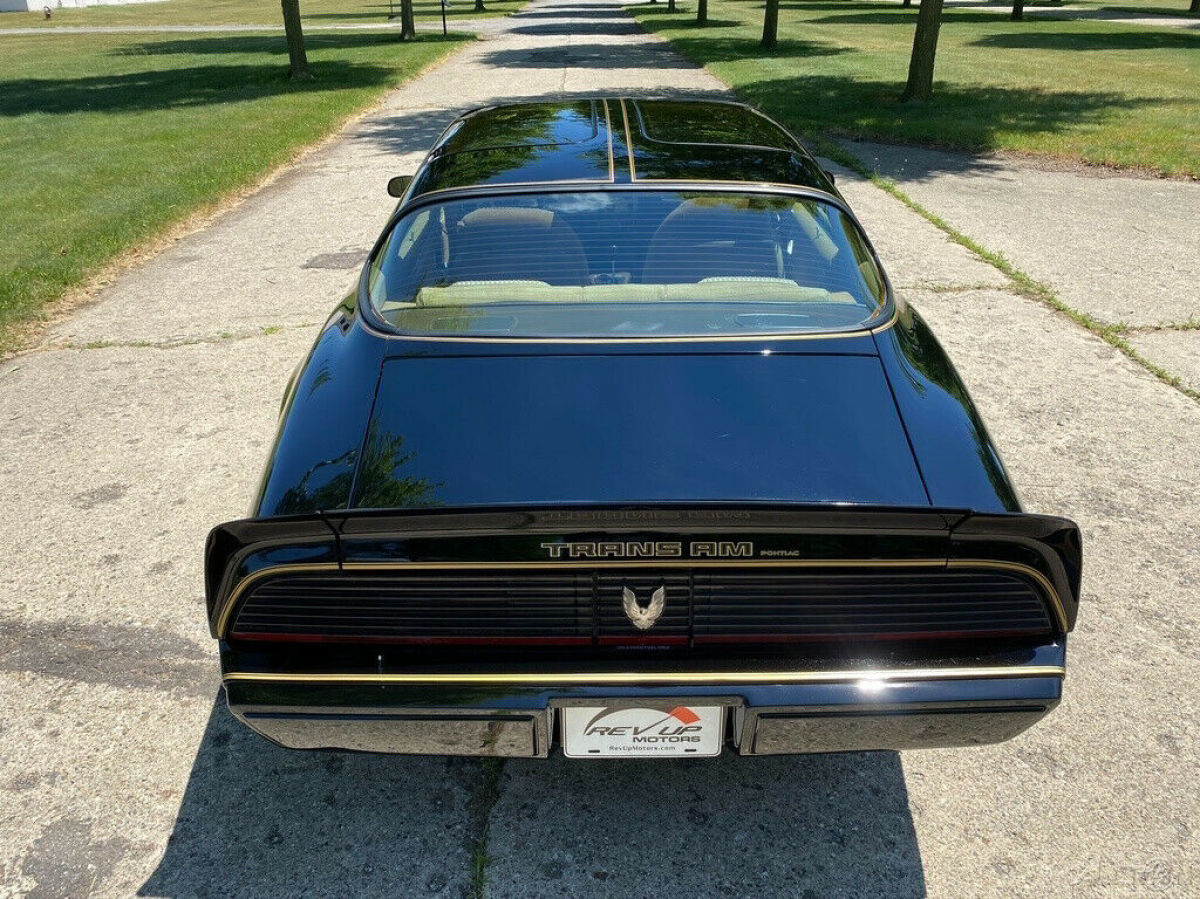 1981 Pontiac Trans Am Firebird Trans Am Y84 Special Edition - photo 13