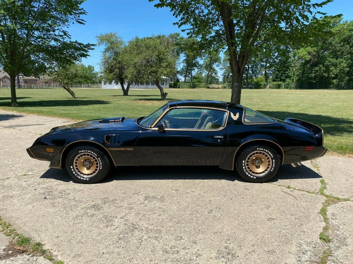 1981 Pontiac Trans Am Firebird Trans Am Y84 Special Edition - photo 4