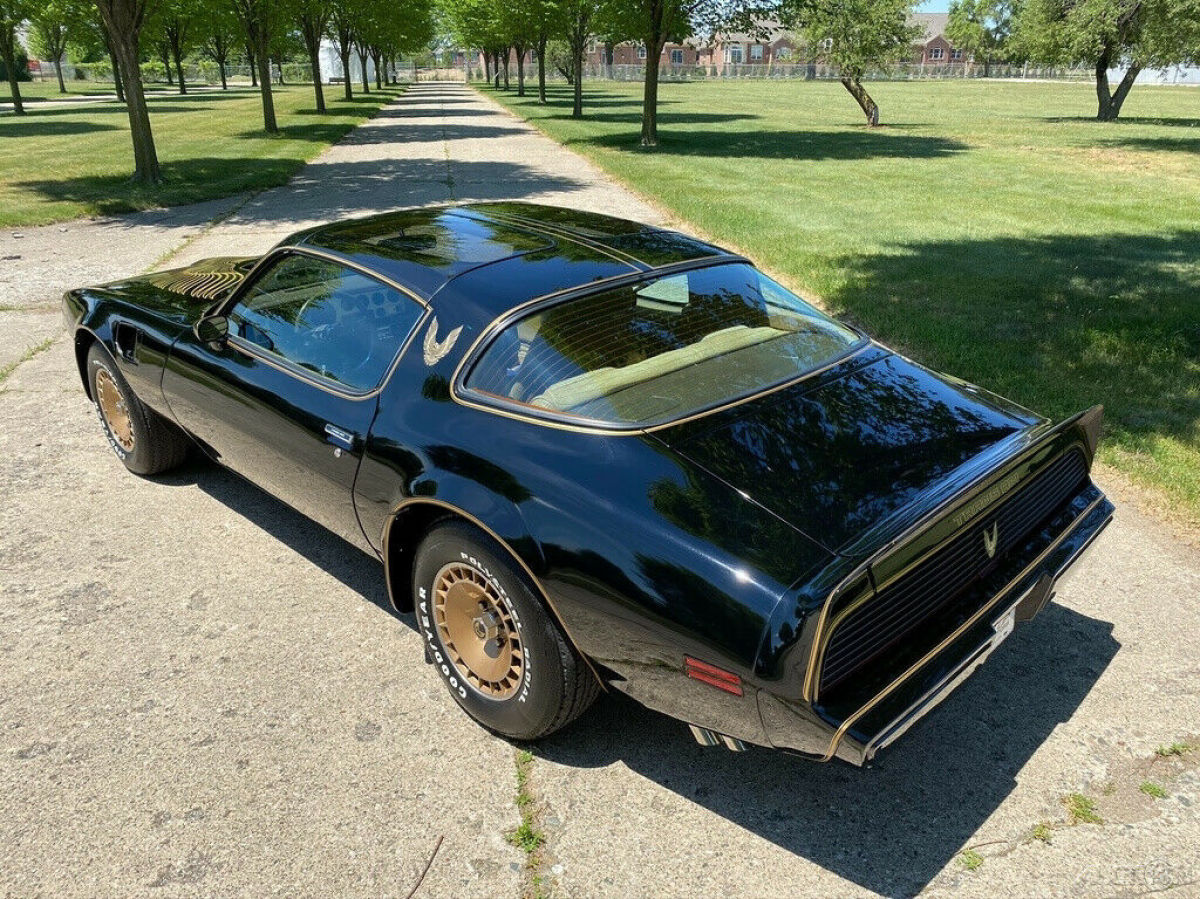 1981 Pontiac Trans Am Firebird Trans Am Y84 Special Edition - photo 5