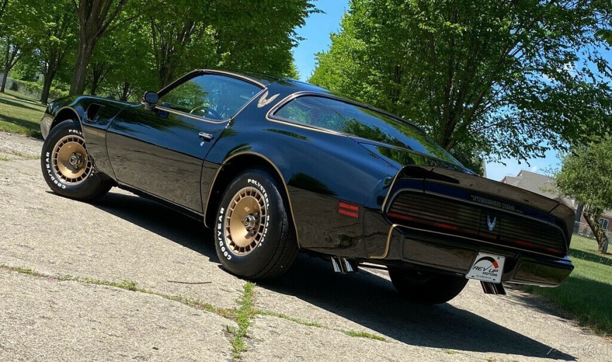 1981 Pontiac Trans Am Firebird Trans Am Y84 Special Edition - photo 6