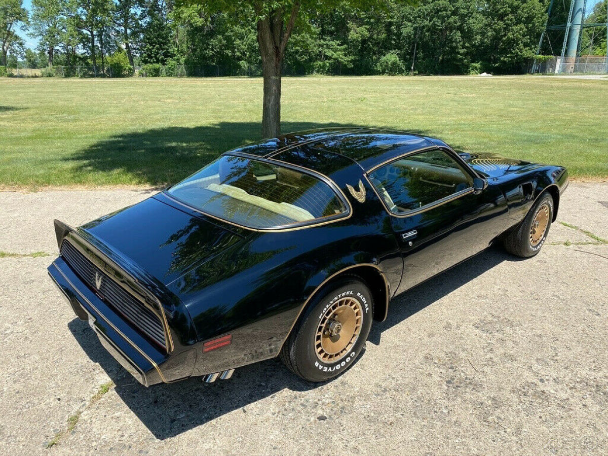 1981 Pontiac Trans Am Firebird Trans Am Y84 Special Edition - photo 7