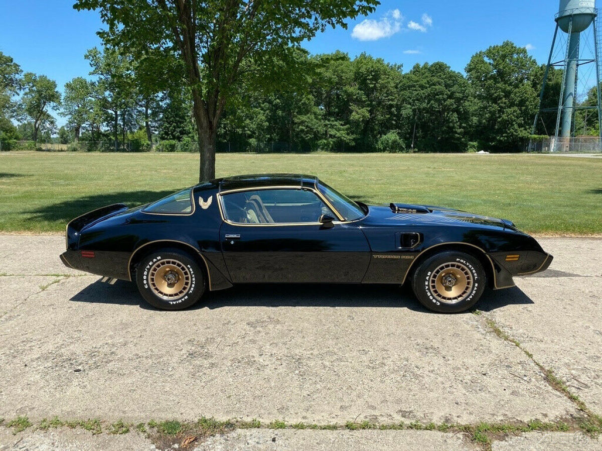 1981 Pontiac Trans Am Firebird Trans Am Y84 Special Edition - photo 9
