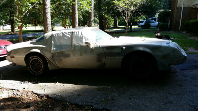 1981 Pontiac Firebird - photo 3