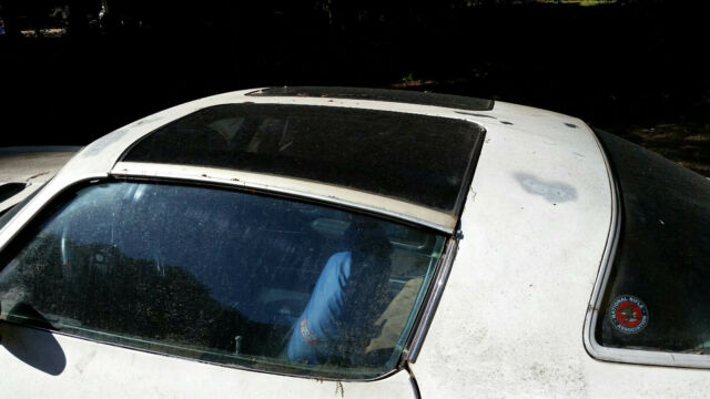 1981 Pontiac Firebird - photo 5