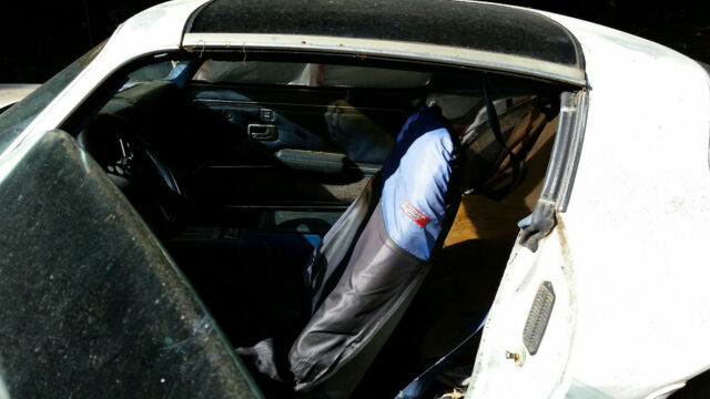 1981 Pontiac Firebird - photo 7