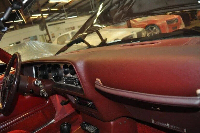 1981 Pontiac Firebird Trans Am 2dr Coupe - photo 11