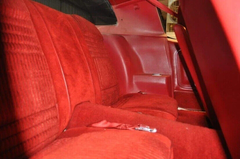 1981 Pontiac Firebird Trans Am 2dr Coupe - photo 12