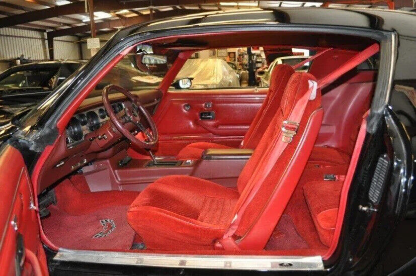 1981 Pontiac Firebird Trans Am 2dr Coupe - photo 6