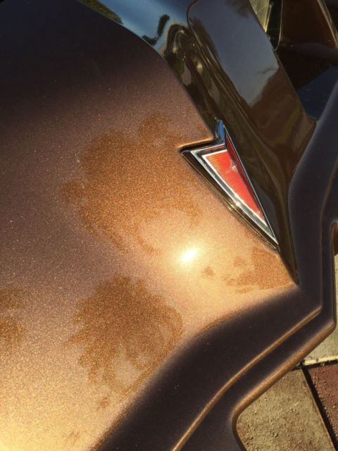 1981 Pontiac Firebird - photo 11