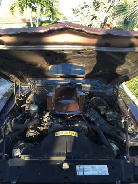 1981 Pontiac Firebird - photo 12