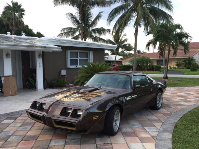 1981 Pontiac Firebird - photo 2
