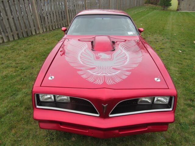 1981 Pontiac Trans Am Trans am - photo 3
