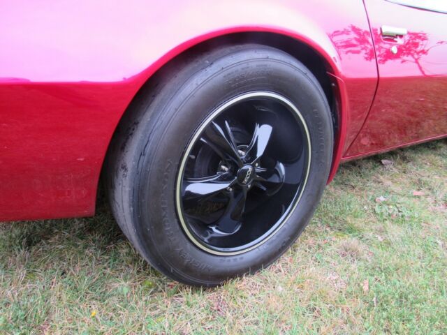 1981 Pontiac Trans Am Trans am - photo 7