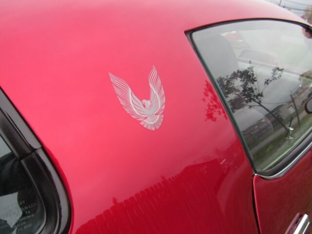 1981 Pontiac Trans Am Trans am - photo 8