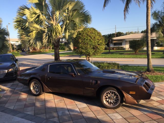 1981 Pontiac Firebird - photo 3