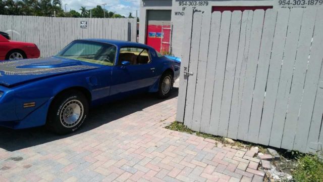 1981 Pontiac Trans Am - photo 7