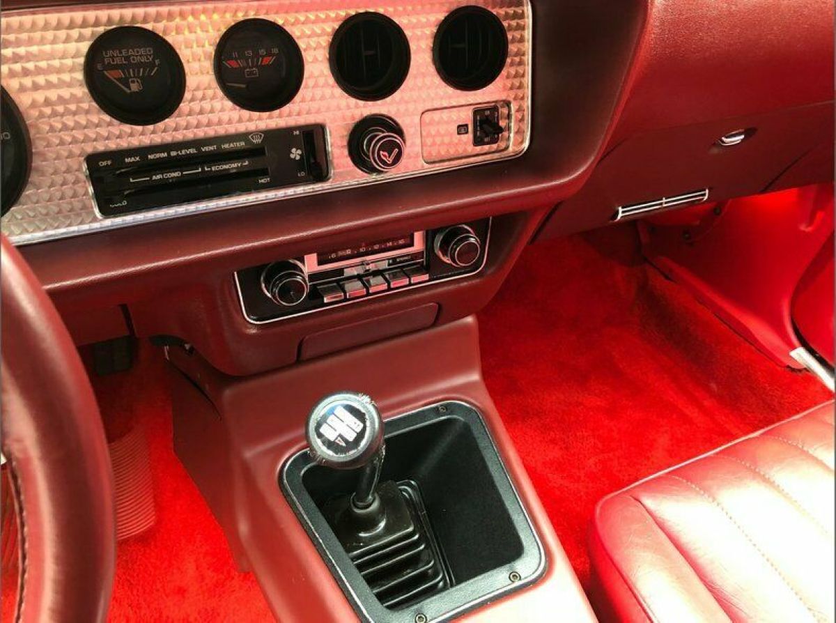 1981 Pontiac Trans Am - photo 10
