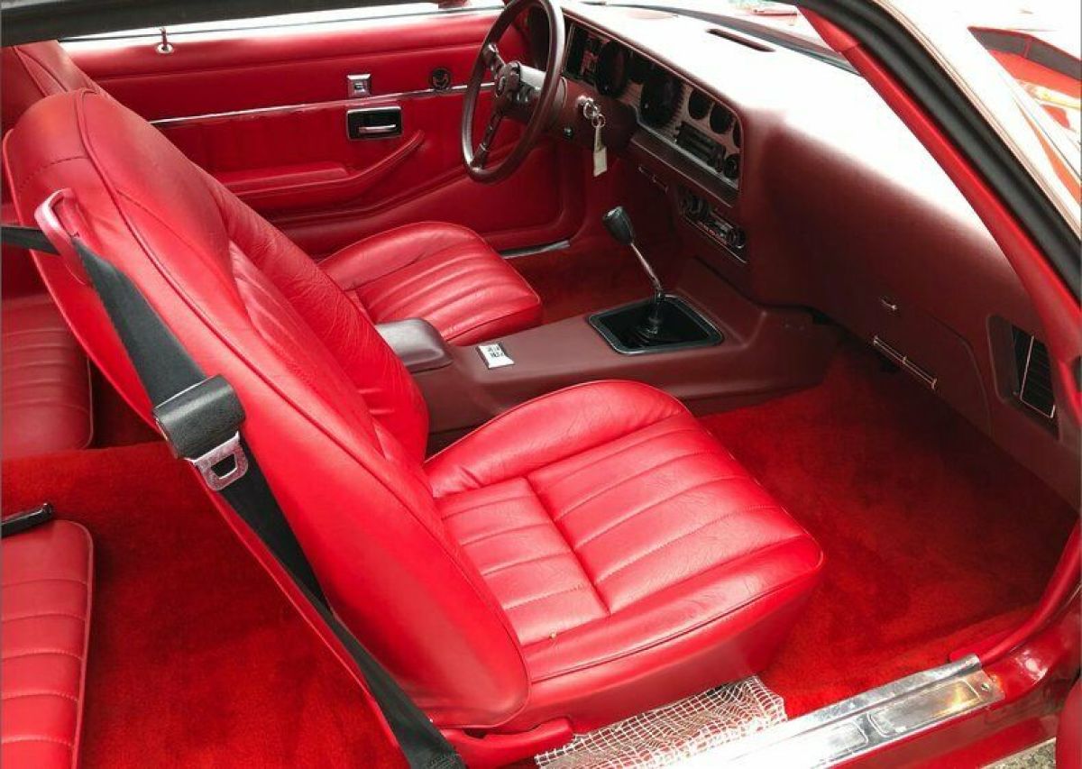 1981 Pontiac Trans Am - photo 11