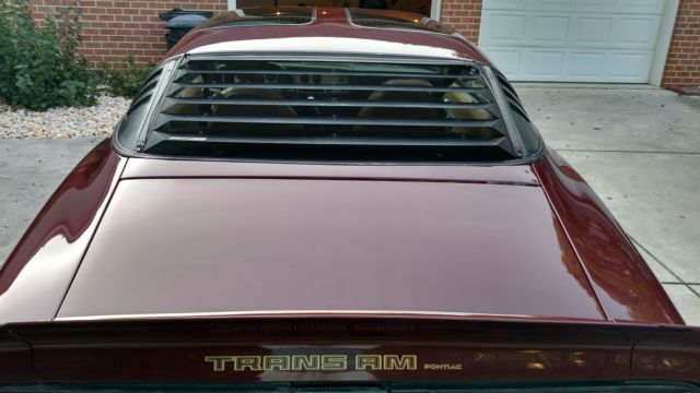 1981 Pontiac Trans Am - photo 10