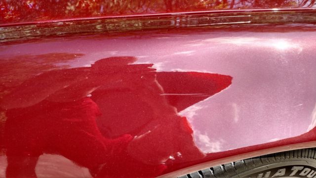 1981 Pontiac Trans Am - photo 11