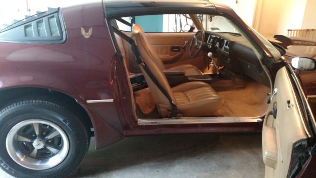 1981 Pontiac Trans Am - photo 12