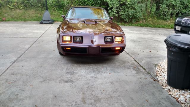 1981 Pontiac Trans Am - photo 13