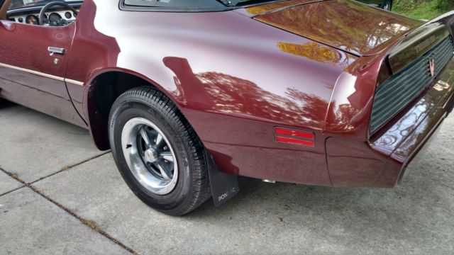 1981 Pontiac Trans Am - photo 3