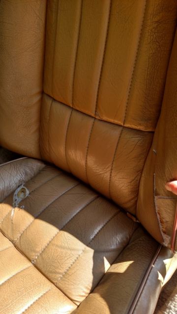 1981 Pontiac Trans Am - photo 5