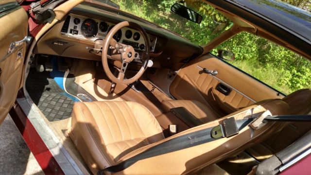 1981 Pontiac Trans Am - photo 7