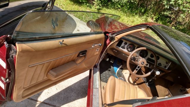 1981 Pontiac Trans Am - photo 8