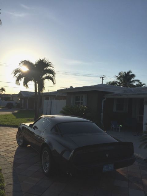 1981 Pontiac Firebird - photo 4