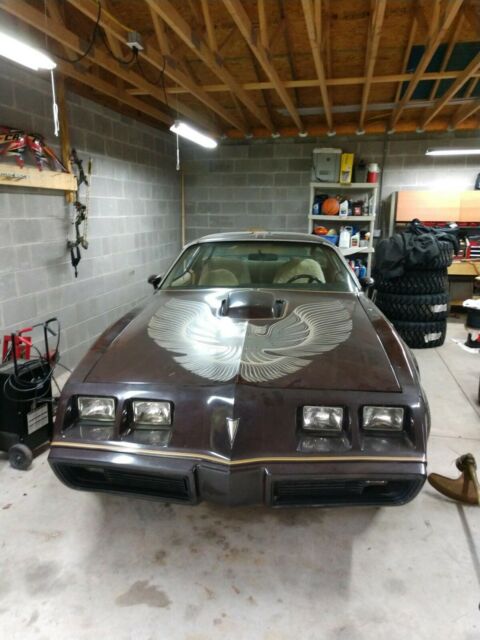 1981 Pontiac Trans Am - photo 10