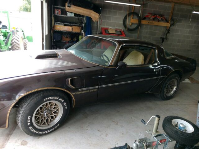 1981 Pontiac Trans Am - photo 2