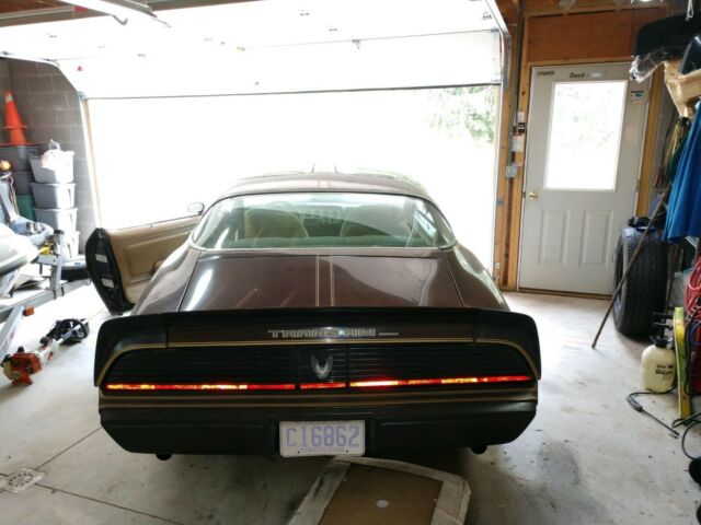 1981 Pontiac Trans Am - photo 3