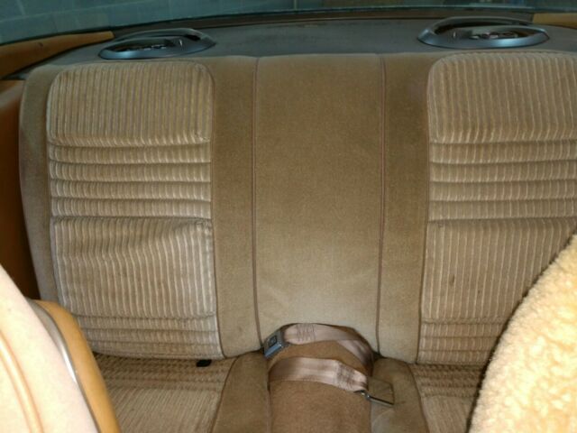 1981 Pontiac Trans Am - photo 5