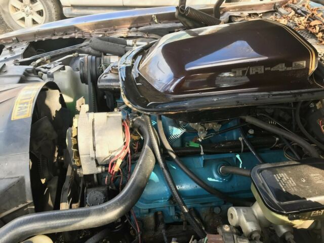 1981 Pontiac Trans Am - photo 6