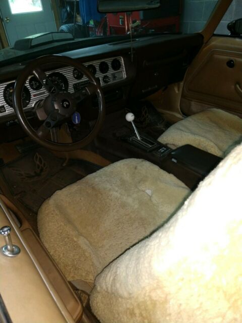 1981 Pontiac Trans Am - photo 7