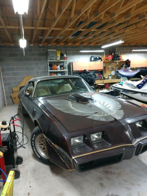 1981 Pontiac Trans Am - photo 8